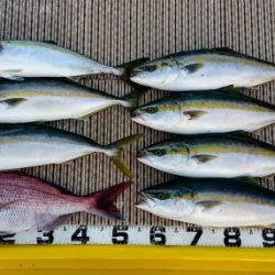 火遠理丸（ほおりまる） 釣果