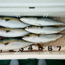 火遠理丸（ほおりまる） 釣果