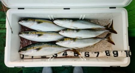 火遠理丸（ほおりまる） 釣果