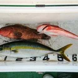 火遠理丸（ほおりまる） 釣果