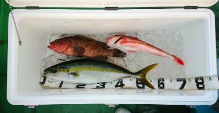 火遠理丸（ほおりまる） 釣果