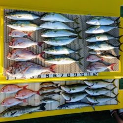 火遠理丸（ほおりまる） 釣果