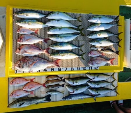 火遠理丸（ほおりまる） 釣果