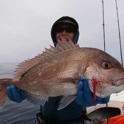 IDATEN（イダテン） 釣果