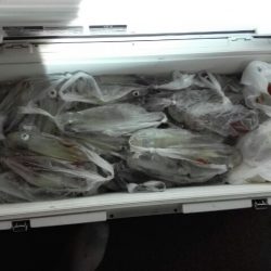 第二大福丸 釣果