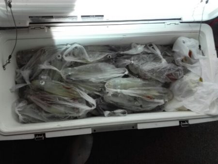 第二大福丸 釣果