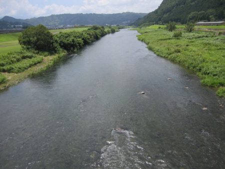 狩野川(狩野川漁業協同組合) 釣果