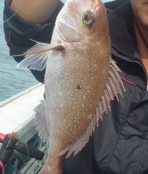 松福丸 釣果