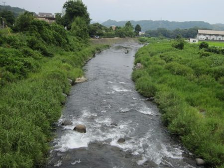 狩野川(狩野川漁業協同組合) 釣果
