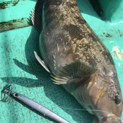 広進丸 釣果