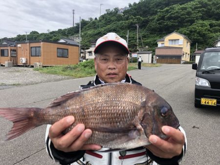 由良渡船 釣果