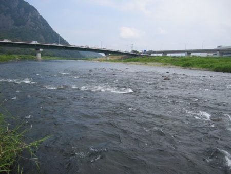 狩野川(狩野川漁業協同組合) 釣果