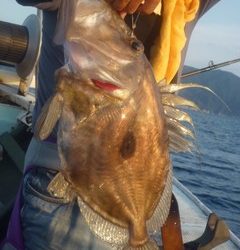 松福丸 釣果