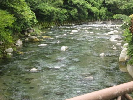 狩野川(狩野川漁業協同組合) 釣果