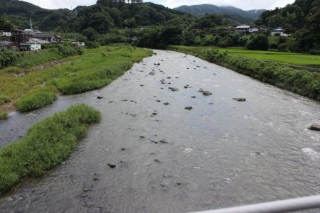 狩野川(狩野川漁業協同組合) 釣果