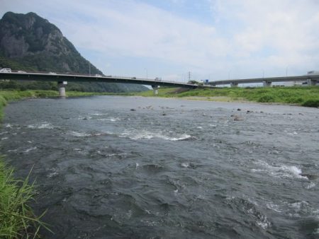 狩野川(狩野川漁業協同組合) 釣果