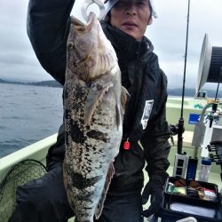 気仙沼　つり丸 釣果