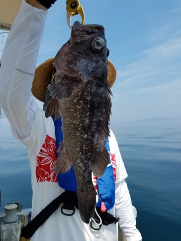 遊漁船 ニライカナイ 釣果