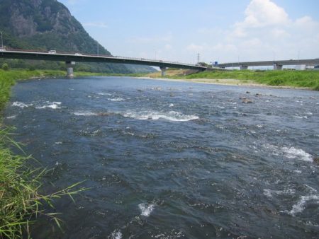狩野川（狩野川漁業協同組合） 釣果