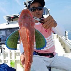 遊漁船 ニライカナイ 釣果