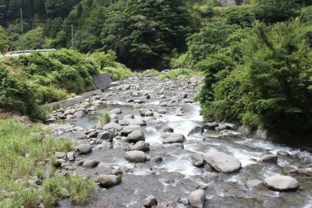 狩野川(狩野川漁業協同組合) 釣果