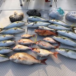 ミタチ丸 釣果