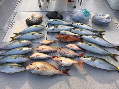 ミタチ丸 釣果