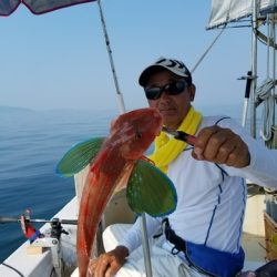 遊漁船　ニライカナイ 釣果