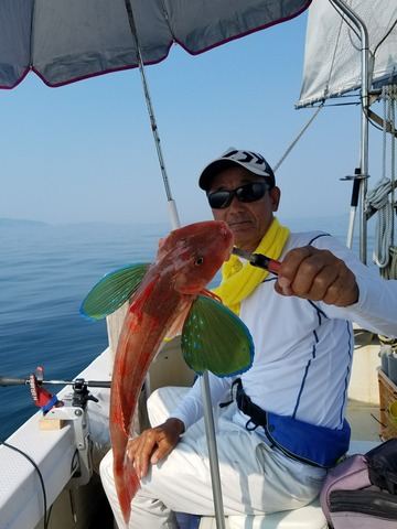 遊漁船　ニライカナイ 釣果