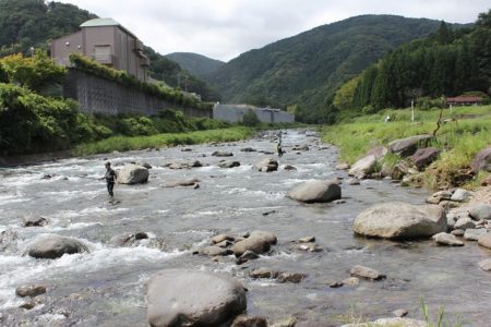 狩野川(狩野川漁業協同組合) 釣果