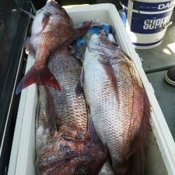 IDATEN（イダテン） 釣果