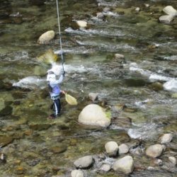 狩野川(狩野川漁業協同組合) 釣果