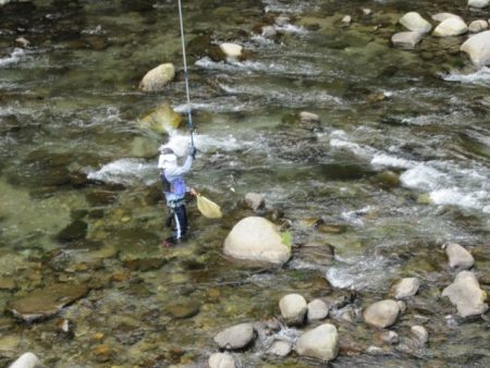 狩野川（狩野川漁業協同組合） 釣果