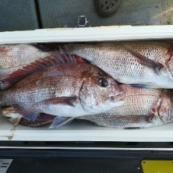 IDATEN（イダテン） 釣果