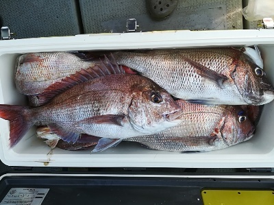 IDATEN（イダテン） 釣果