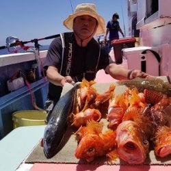 しまや丸 釣果