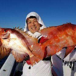 しまや丸 釣果