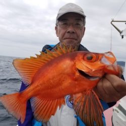 しまや丸 釣果