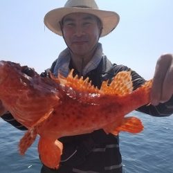 しまや丸 釣果