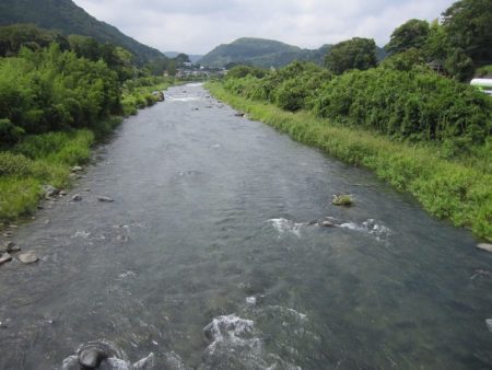 狩野川(狩野川漁業協同組合) 釣果