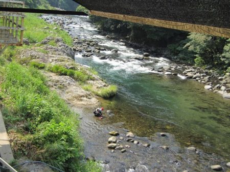 狩野川(狩野川漁業協同組合) 釣果