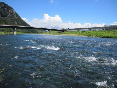 狩野川(狩野川漁業協同組合) 釣果