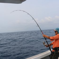 へいみつ丸 釣果