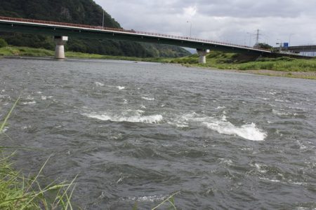 狩野川(狩野川漁業協同組合) 釣果