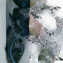 鵜来島家本渡船 釣果