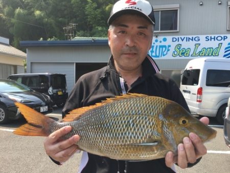 鵜来島家本渡船 釣果