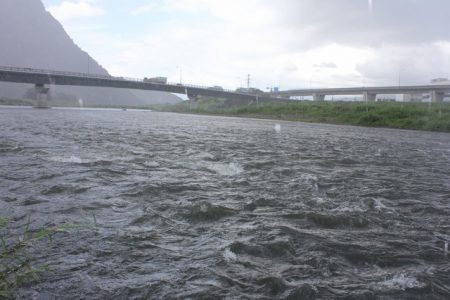 狩野川(狩野川漁業協同組合) 釣果
