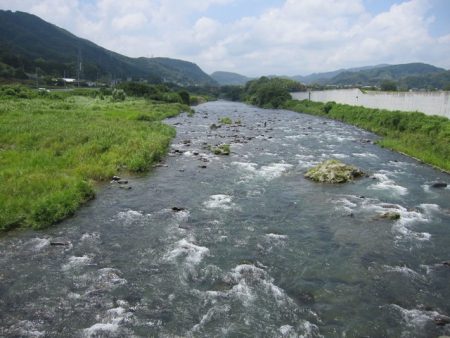 狩野川(狩野川漁業協同組合) 釣果