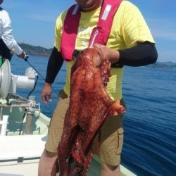 気仙沼　つり丸 釣果