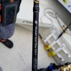 遊漁船 ニライカナイ 釣果